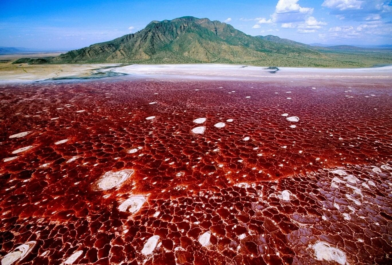 day trip to lake natron| Kizza Adventure